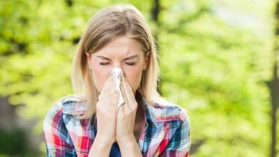 Heuschnupfenzeit: Einfache Tipps, mit denen Sie Ihr Zuhause zur allergiefreien Zone machen